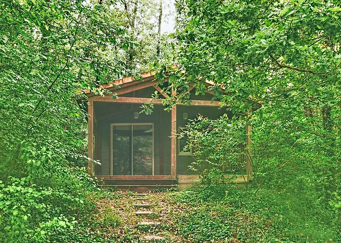 Escape Near بيت للعطل