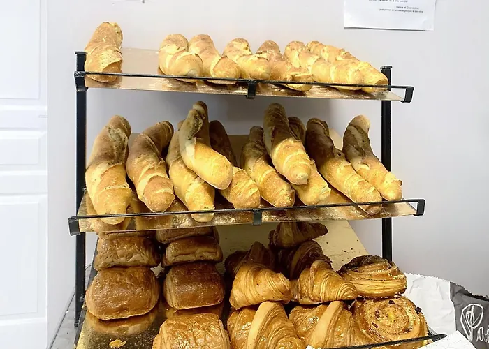 بيت للعطل Escape Near